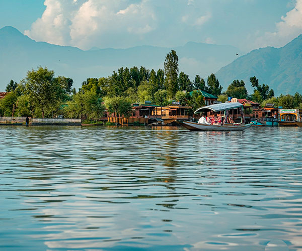 Kashmir