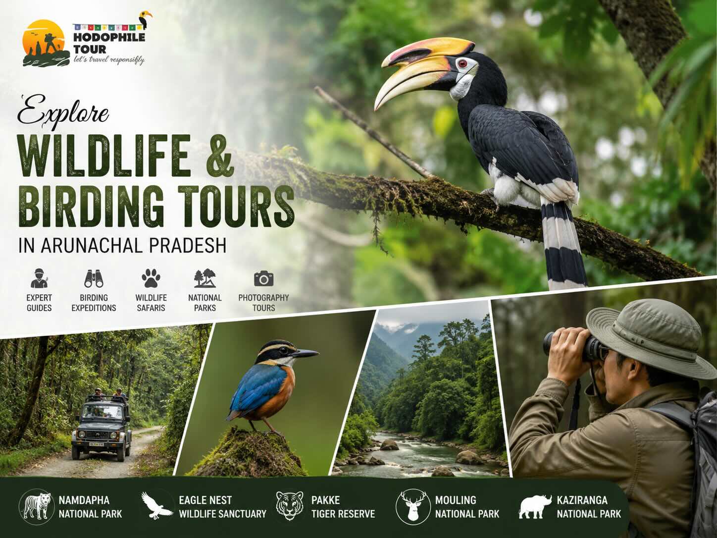 Wildlife & Birding Tours